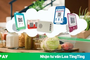 Top 5 loa chuyển khoản, loa thông báo nhận tiền tốt nhất 2025